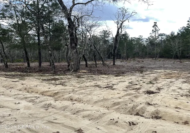 Photo 1 of Land for sale at 205 London Ave, Interlachen, FL 32148 | MLS# 2133251 | Listing updated on 2026-09-03