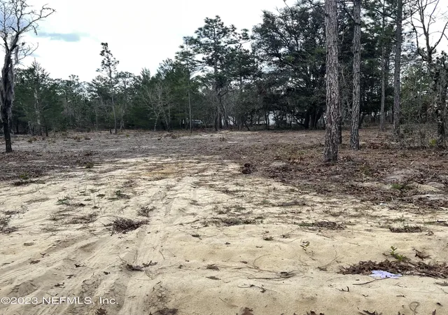 Photo 3 of Land for sale at 205 London Ave, Interlachen, FL 32148 | MLS# 2133251 | Listing updated on 2026-09-03
