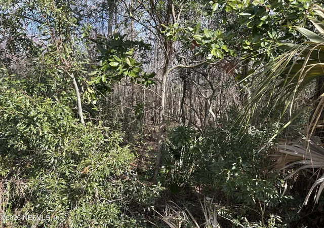 15th image of 0 Beach Blvd, Jacksonville, FL 32224 | MLS# 2133705