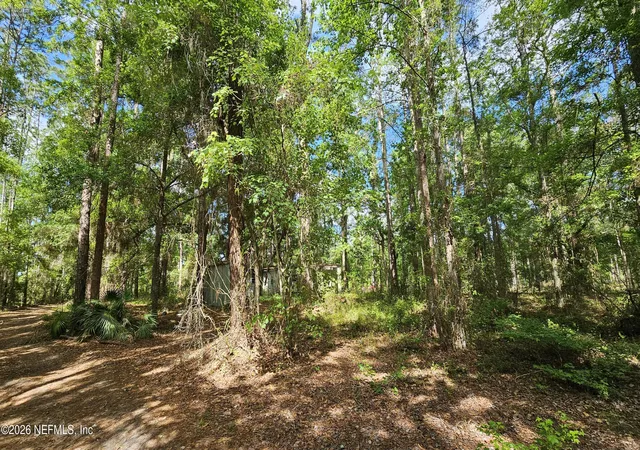62nd image of 6324 Lannie Rd, Jacksonville, FL 32218 | MLS# 2139660