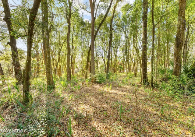 Photo 3 of Land for sale at 120 County Rd 309c, Palatka, FL 32177 | MLS# 2133876 | Listing updated on 2026-09-02