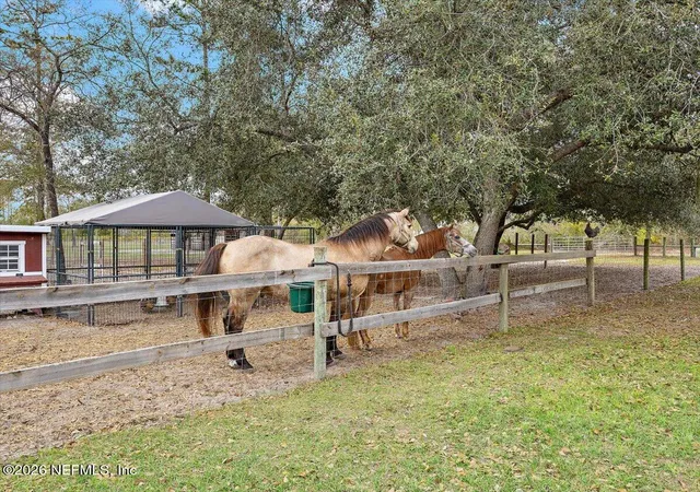 Photo 4 of Single family home for sale at 14394 Bob Burnsed Rd, Glen Saint Mary, FL 32040 | MLS# 2134026 | Listing updated on 2026-09-16
