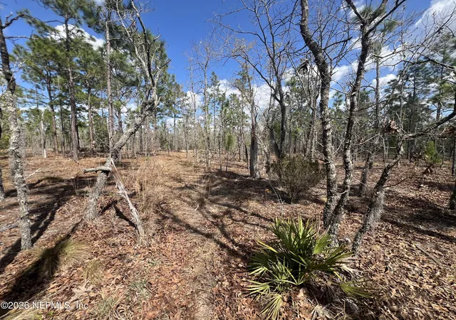 1st image of 143 Quail Wy, Hawthorne, FL 32640 | MLS# 2134201