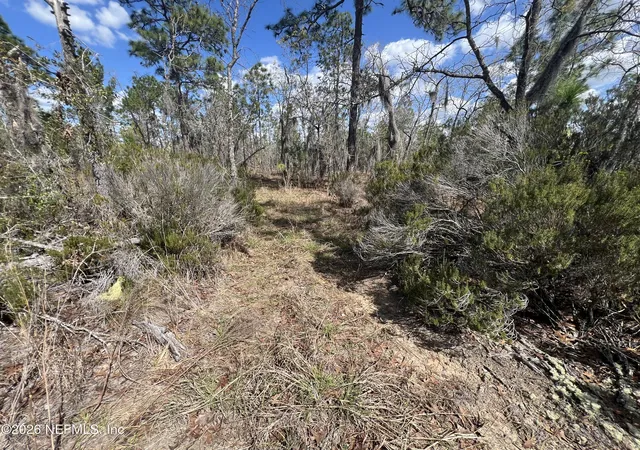 8th image of 143 Quail Wy, Hawthorne, FL 32640 | MLS# 2134201