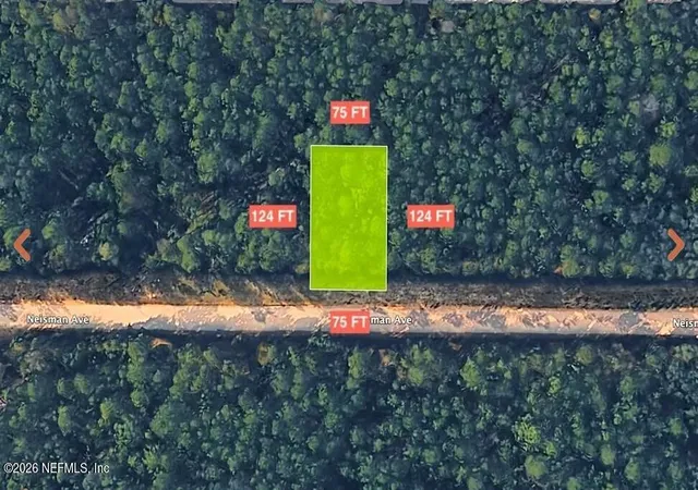 Photo 3 of Land for sale at 0 Neisman Ave, Interlachen, FL 32148 | MLS# 2134224 | Listing updated on 2026-08-01