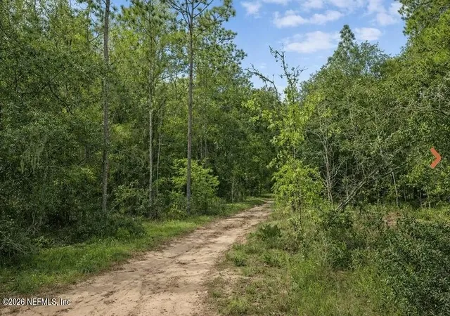 Photo 3 of Land for sale at 0 Delaware Ter, Interlachen, FL 32148 | MLS# 2134234 | Listing updated on 2026-07-27