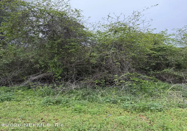 Photo 2 of Land for sale at 104 Kerry Dr, Satsuma, FL 32189 | MLS# 2136494 | Listing updated on 2026-03-24