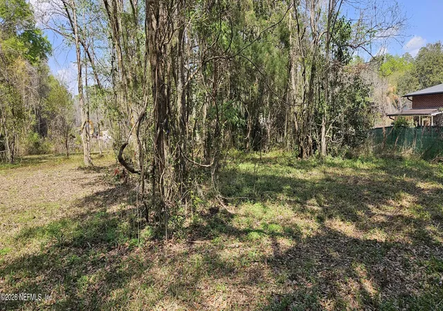 8th image of 0 Coulee Ave, Jacksonville, FL 32210 | MLS# 2135893