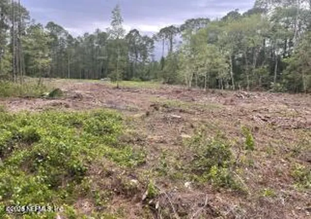 Photo 1 of Land for sale at 348 Georgetown Denver Rd, Georgetown, FL 32139 | MLS# 2136304 | Listing updated on 2026-03-23