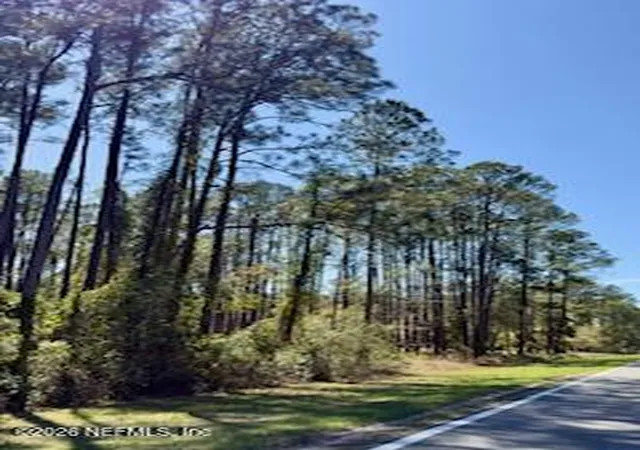 Photo 1 of Land for sale at 251 Georgetown Denver Rd, Georgetown, FL 32139 | MLS# 2136402 | Listing updated on 2026-03-24