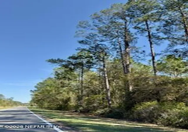 Photo 2 of Land for sale at 251 Georgetown Denver Rd, Georgetown, FL 32139 | MLS# 2136402 | Listing updated on 2026-03-24