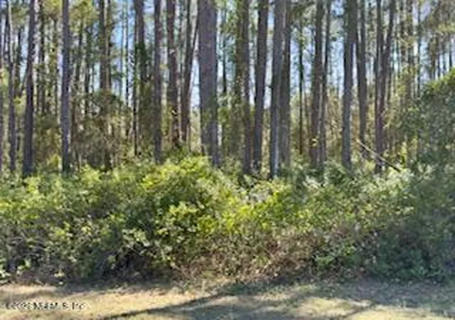 Photo 3 of Land for sale at 251 Georgetown Denver Rd, Georgetown, FL 32139 | MLS# 2136402 | Listing updated on 2026-03-24