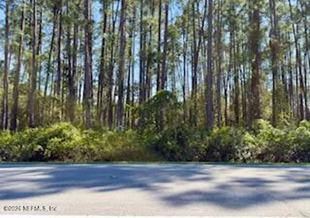 Photo 3 of Land for sale at 251 Georgetown Denver Rd, Georgetown, FL 32139 | MLS# 2136402 | Listing updated on 2026-03-24