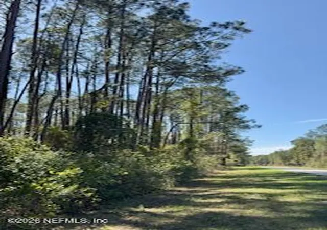 Photo 4 of Land for sale at 251 Georgetown Denver Rd, Georgetown, FL 32139 | MLS# 2136402 | Listing updated on 2026-03-24