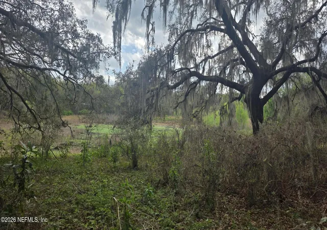 Photo 4 of Land for sale at 6656 County Rd 315c, Keystone Heights, FL 32656 | MLS# 2137117 | Listing updated on 2026-07-23