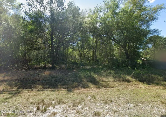 Photo 1 of Land for sale at 909 Paradise Blvd, Georgetown, FL 32139 | MLS# 2137931 | Listing updated on 2026-08-20