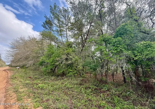 Photo 2 of Land for sale at Xxx Neilsen Ave, Interlachen, FL 32148 | MLS# 2139193 | Listing updated on 2026-04-09