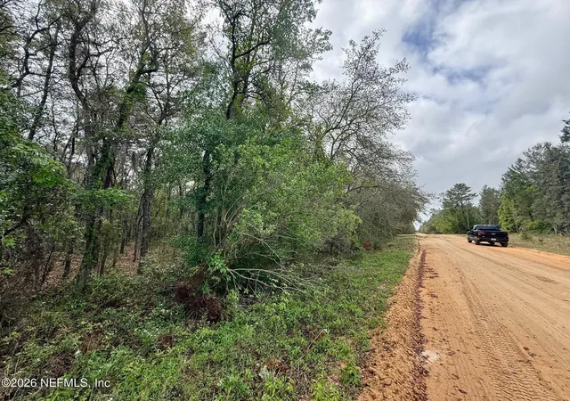 Photo 3 of Land for sale at Xxx Neilsen Ave, Interlachen, FL 32148 | MLS# 2139193 | Listing updated on 2026-04-09