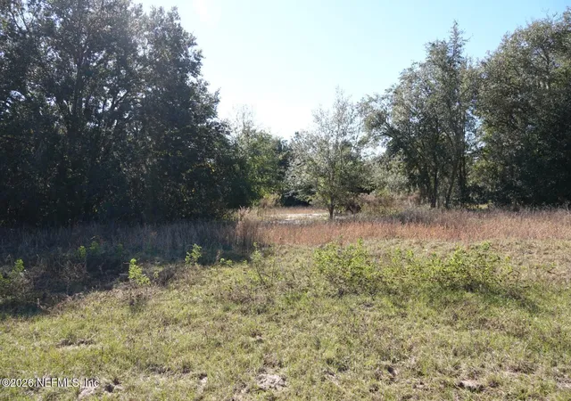 32nd image of 525 Raulerson Rd, Seville, FL 32190 | MLS# 2139058