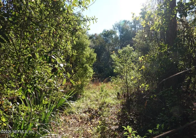 4th image of 525 Raulerson Rd, Seville, FL 32190 | MLS# 2139058