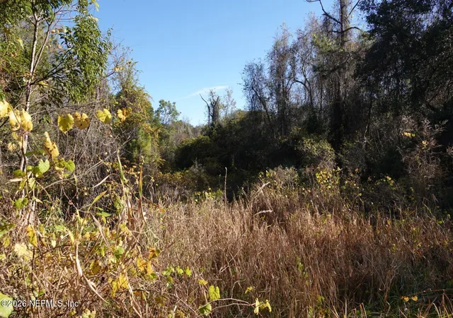 5th image of 525 Raulerson Rd, Seville, FL 32190 | MLS# 2139058