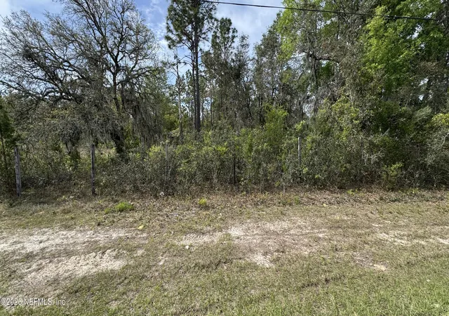 Photo 3 of Land for sale at 00 State Rd 20, Interlachen, FL 32148 | MLS# 2139000 | Listing updated on 2026-09-28