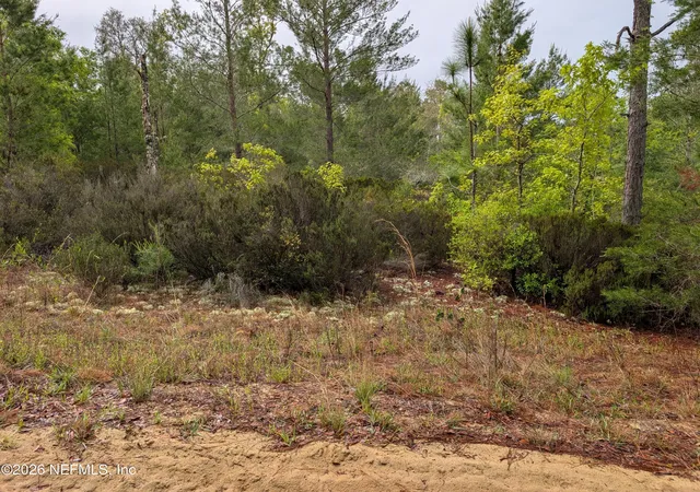 Photo 1 of Land for sale at Lot Se 34 10th Street, Interlachen, FL 32148 | MLS# 2139015 | Listing updated on 2026-08-19
