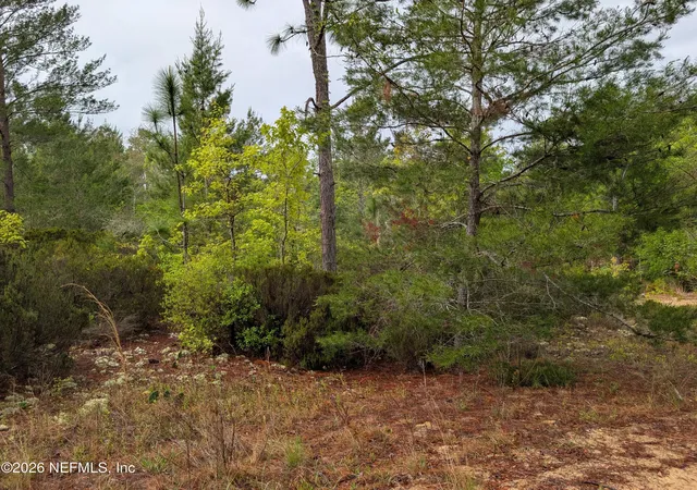 Photo 2 of Land for sale at Lot Se 34 10th Street, Interlachen, FL 32148 | MLS# 2139015 | Listing updated on 2026-08-19