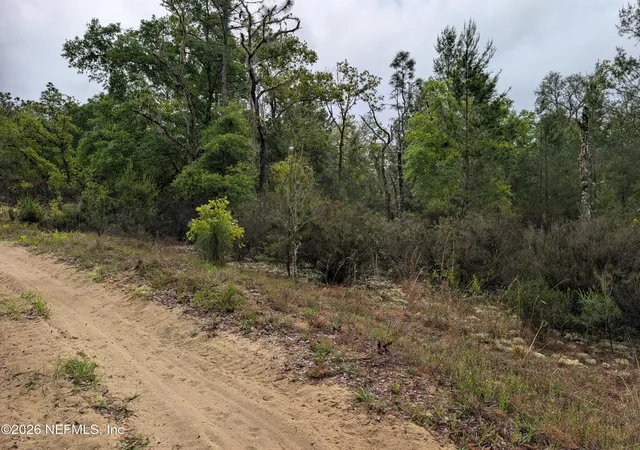 Photo 3 of Land for sale at Lot Se 34 10th Street, Interlachen, FL 32148 | MLS# 2139015 | Listing updated on 2026-08-19
