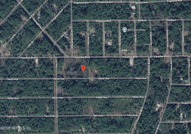 Photo 1 of Sale Pending at 212 Hazel Ave, Georgetown, FL 32139 | MLS# 2139498 | Listing updated on 2026-06-26