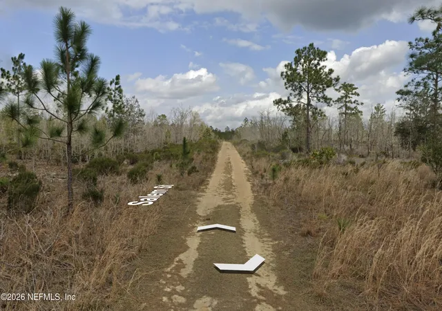 Photo 2 of Land for sale at 001 Salem Trl, Interlachen, FL 32148 | MLS# 2139501 | Listing updated on 2026-04-10