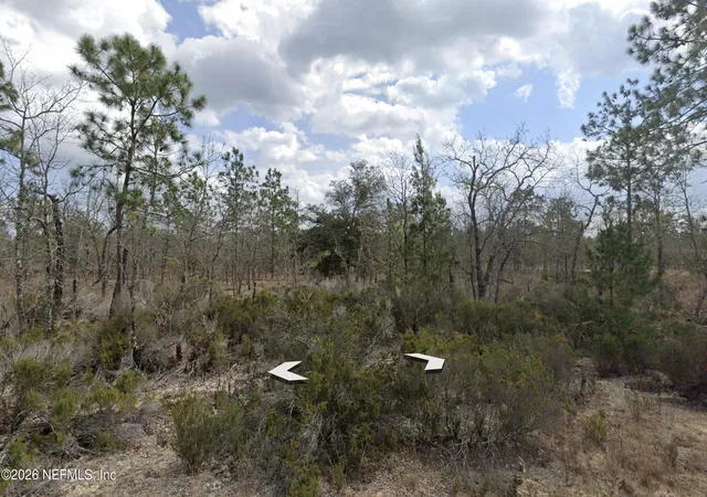 Photo 3 of Land for sale at 001 Salem Trl, Interlachen, FL 32148 | MLS# 2139501 | Listing updated on 2026-04-10