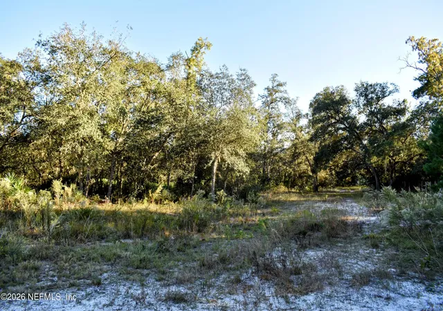 14th image of 224 Rodeo Dr, Interlachen, FL 32148 | MLS# 2139781
