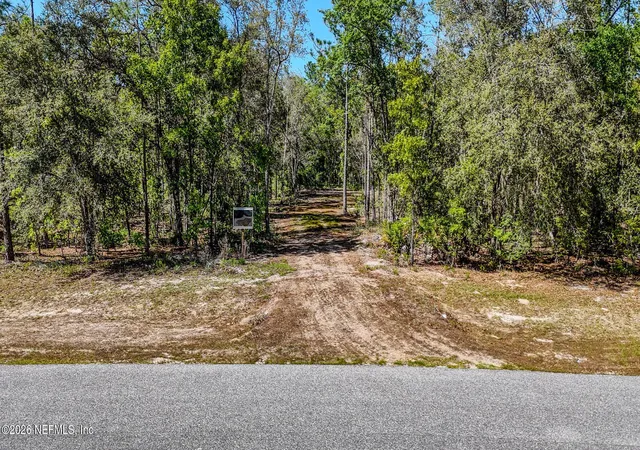 Homes for sale in Bryceville, FL | 13541 Settindown Dr, Bryceville, FL 32009 | MLS# 2139563