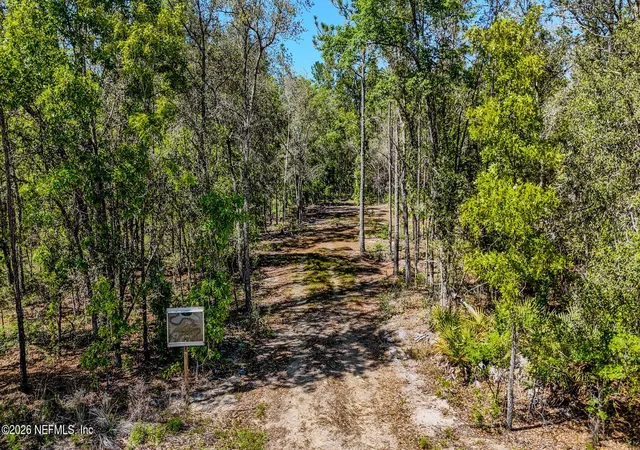 Homes for sale in Bryceville, FL | 13541 Settindown Dr, Bryceville, FL 32009 | MLS# 2139563