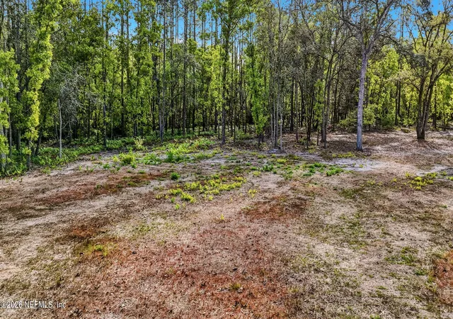 Homes for sale in Bryceville, FL | 13541 Settindown Dr, Bryceville, FL 32009 | MLS# 2139563
