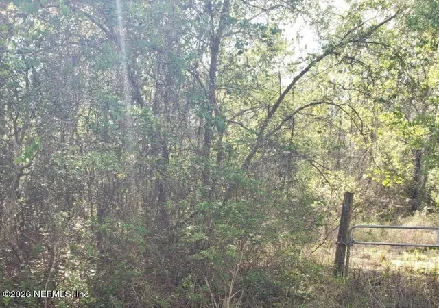 Photo 3 of Land for sale at 6372 County Rd 315c, Keystone Heights, FL 32656 | MLS# 2140102 | Listing updated on 2026-04-15