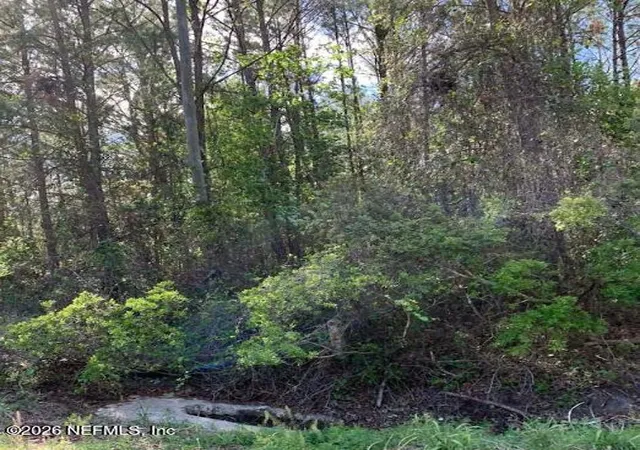 3rd image of 6378 County Road 315C, Keystone Heights, FL 32656 | MLS# 2140104