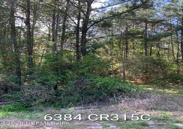 2nd image of 6384 County Road 315, Keystone Heights, FL 32656 | MLS# 2140105
