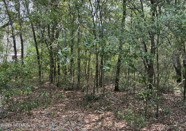 Photo 1 of Land for sale at 176 Maple Ln, Interlachen, FL 32148 | MLS# 2141068 | Listing updated on 2026-10-14
