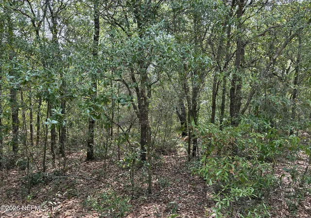Photo 2 of Land for sale at 176 Maple Ln, Interlachen, FL 32148 | MLS# 2141068 | Listing updated on 2026-10-14