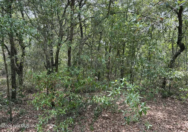 Photo 3 of Land for sale at 176 Maple Ln, Interlachen, FL 32148 | MLS# 2141068 | Listing updated on 2026-10-14