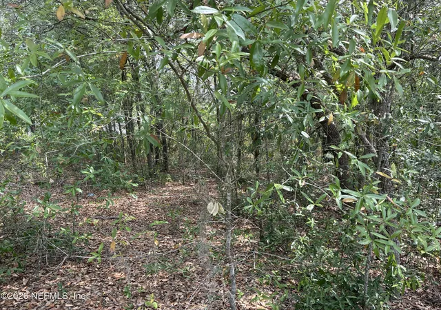 Photo 3 of Land for sale at 176 Maple Ln, Interlachen, FL 32148 | MLS# 2141068 | Listing updated on 2026-10-14