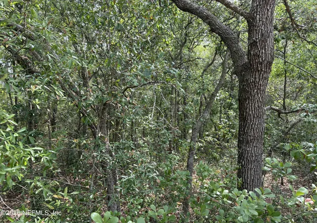 Photo 4 of Land for sale at 176 Maple Ln, Interlachen, FL 32148 | MLS# 2141068 | Listing updated on 2026-10-14