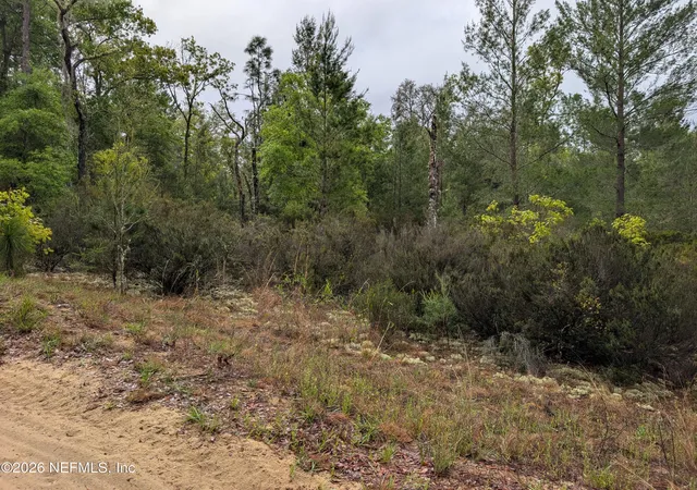 Photo 3 of Land for sale at Lot 34  35 Maltas Ave, Interlachen, FL 32148 | MLS# 2141449 | Listing updated on 2026-04-23