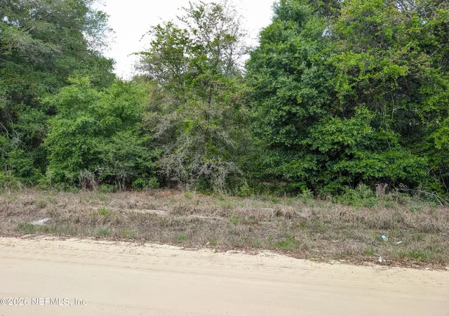 Photo 1 of Land for sale at 0060 Maltas Ave, Interlachen, FL 32148 | MLS# 2141455 | Listing updated on 2026-04-27