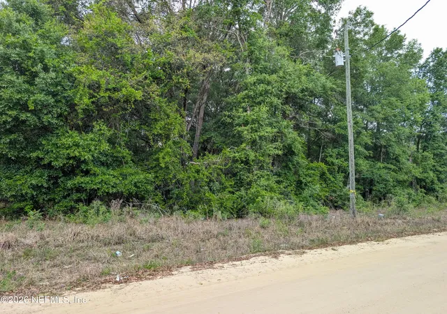 Photo 2 of Land for sale at 0060 Maltas Ave, Interlachen, FL 32148 | MLS# 2141455 | Listing updated on 2026-04-27