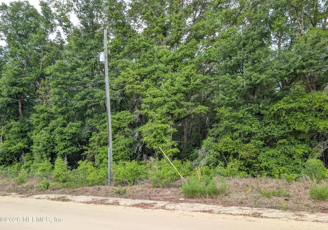 Photo 3 of Land for sale at 0060 Maltas Ave, Interlachen, FL 32148 | MLS# 2141455 | Listing updated on 2026-04-27