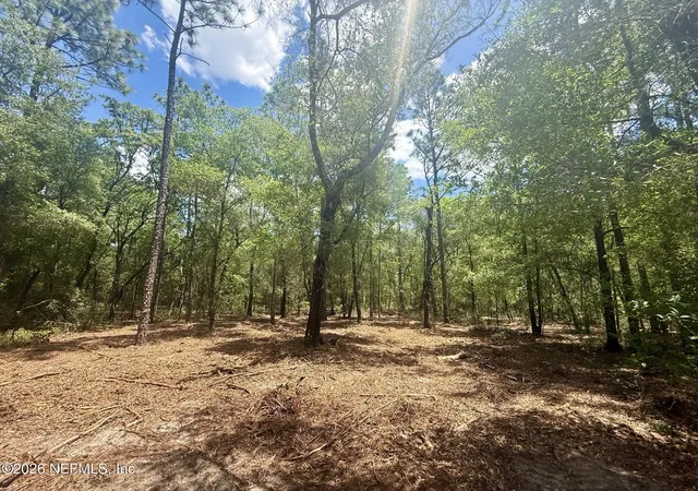 4th image of Xxx Leisure Pl, Interlachen, FL 32148 | MLS# 2142266