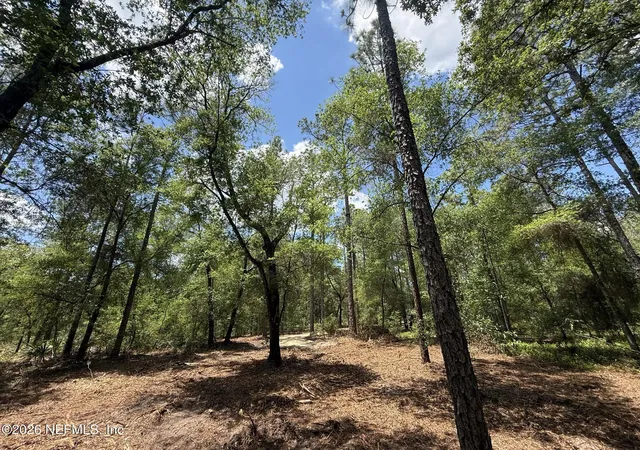 5th image of Xxx Leisure Pl, Interlachen, FL 32148 | MLS# 2142266